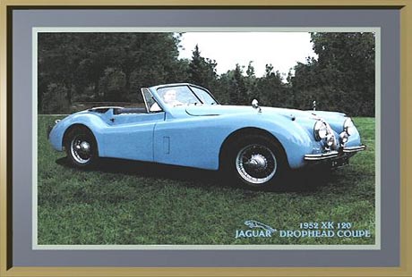 Digital Gallery - Jaguar